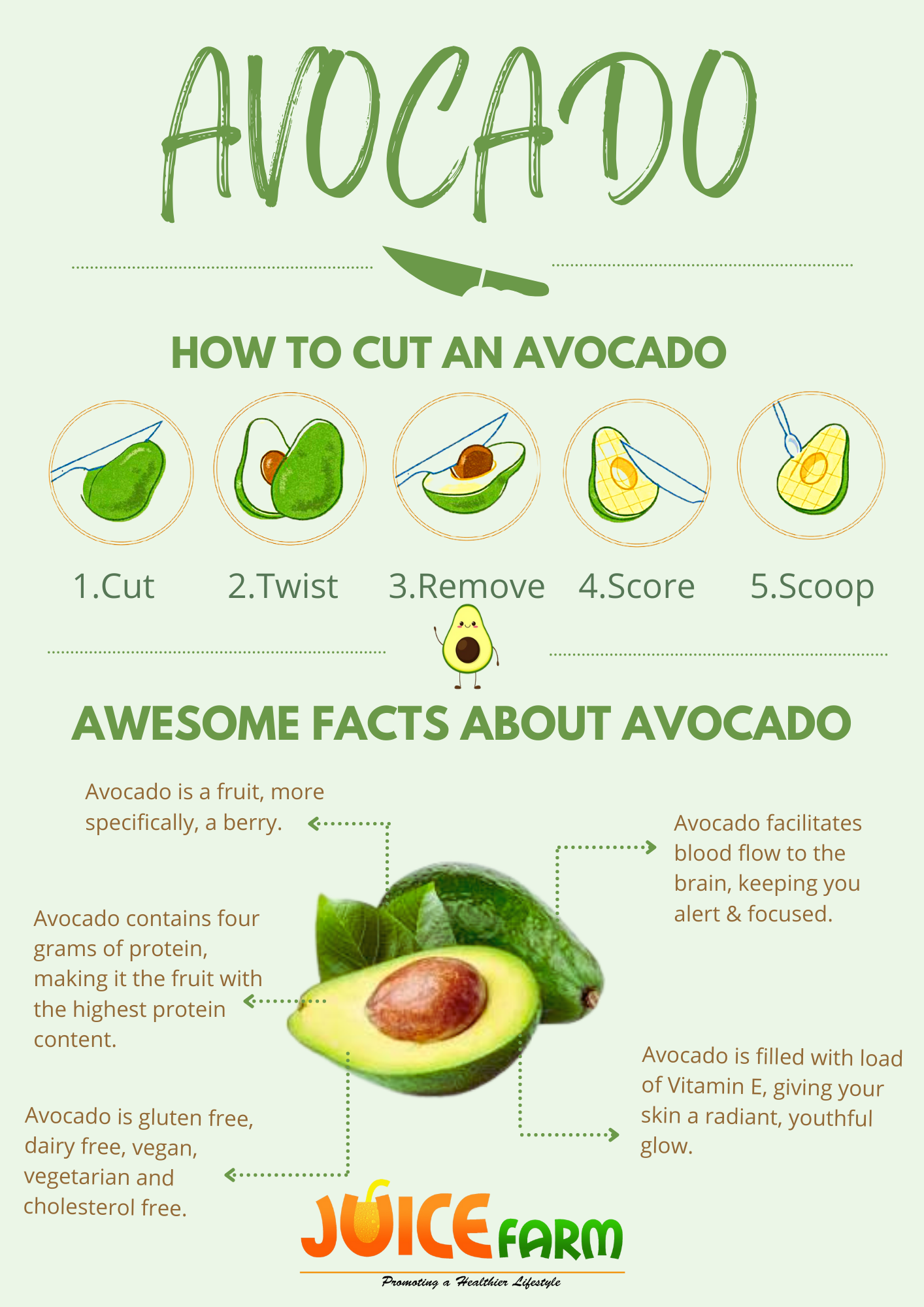 Avocado Fun Facts